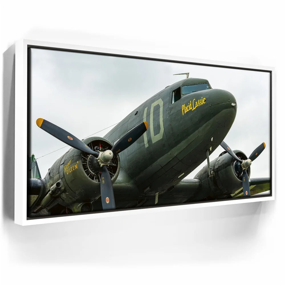 Featured image 6 for Placid Lassie C-47