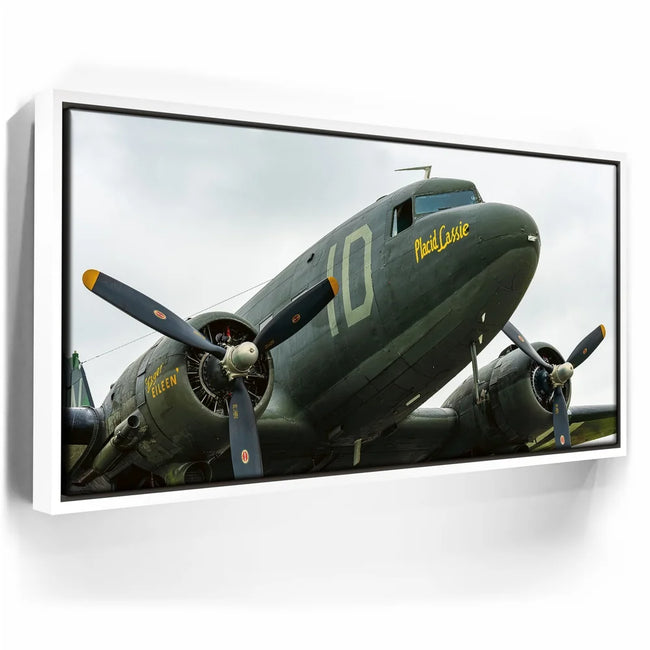 Featured image 6 for Placid Lassie C-47