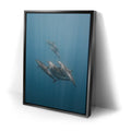 Thumbnail image 2 for Playful Dolphins - La Ventana - Mexico