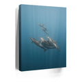 Thumbnail image 3 for Playful Dolphins - La Ventana - Mexico
