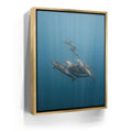 Featured image 8 for Playful Dolphins - La Ventana - Mexico