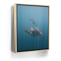 Featured image 10 for Playful Dolphins - La Ventana - Mexico