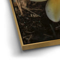 Thumbnail image 12 for Plumeria Falls, Maui