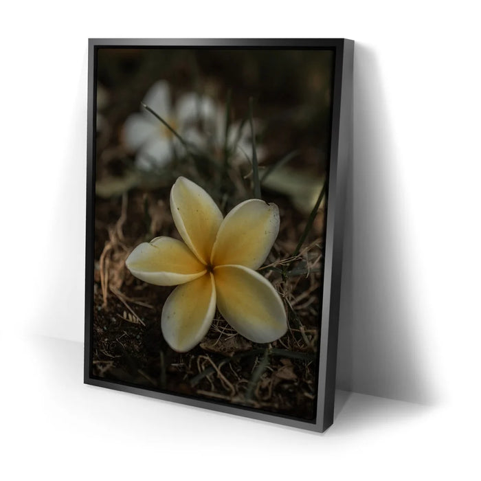 Featured image 2 for Plumeria Falls, Maui