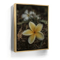 Featured image 7 for Plumeria Falls, Maui