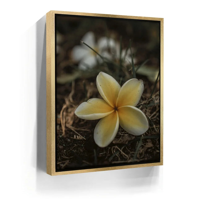 Featured image 7 for Plumeria Falls, Maui