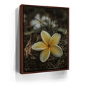 Featured image 10 for Plumeria Falls, Maui