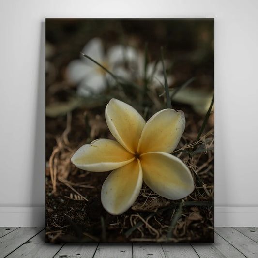 Plumeria Falls, Maui Posters, Prints, & Visual Artwork TheGoatWallArt PORTRAIT 18x24 0.75" STANDARD