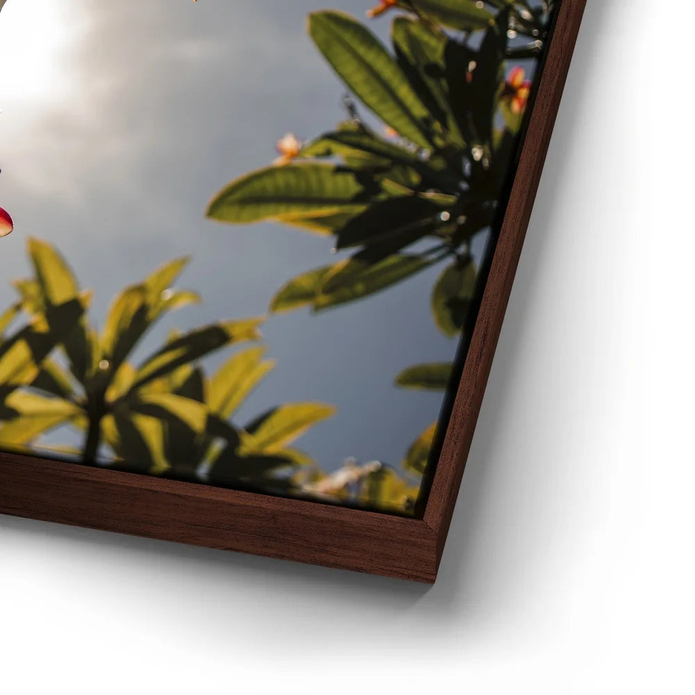 Featured image 14 for Plumeria In The Sky, Maui