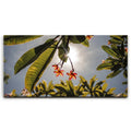Featured image 1 for Plumeria In The Sky, Maui