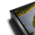 Thumbnail image 11 for Plumeria In The Sky, Maui