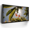 Featured image 5 for Plumeria In The Sky, Maui
