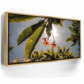 Featured image 7 for Plumeria In The Sky, Maui