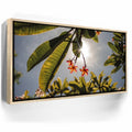 Featured image 9 for Plumeria In The Sky, Maui