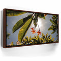Featured image 10 for Plumeria In The Sky, Maui