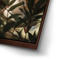 Thumbnail image 14 for Plumeria In The Sun, Maui