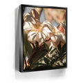 Featured image 5 for Plumeria In The Sun, Maui