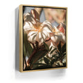 Featured image 7 for Plumeria In The Sun, Maui