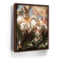 Featured image 10 for Plumeria In The Sun, Maui