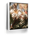 Featured image 6 for Plumeria In The Sun, Maui