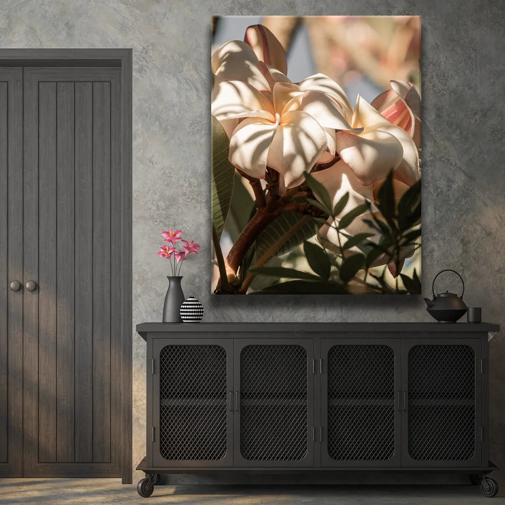 Featured image 2 for Plumeria In The Sun, Maui