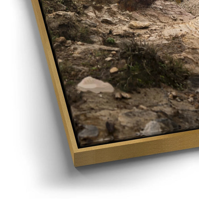 Featured image 12 for Point Reyes Lighthouse