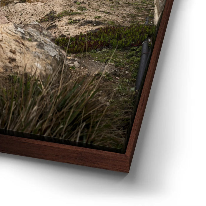 Featured image 14 for Point Reyes Lighthouse