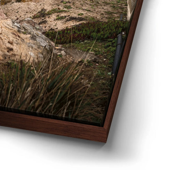 Featured image 14 for Point Reyes Lighthouse