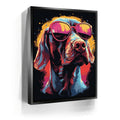 Featured image 5 for Pointer Rockstar