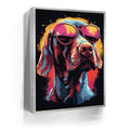 Featured image 8 for Pointer Rockstar
