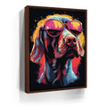 Featured image 10 for Pointer Rockstar