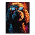 Featured image 1 for Poodle Rockstar