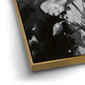 Thumbnail image 12 for Poppy Flowers I - Black and White
