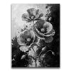 Featured image 1 for Poppy Flowers I - Black and White