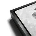 Thumbnail image 11 for Poppy Flowers I - Black and White
