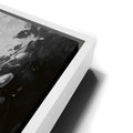 Thumbnail image 13 for Poppy Flowers I - Black and White