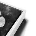 Thumbnail image 13 for Poppy Flowers II - Black and White