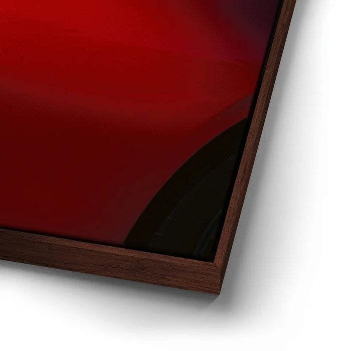 Featured image 14 for Prancing Stallion