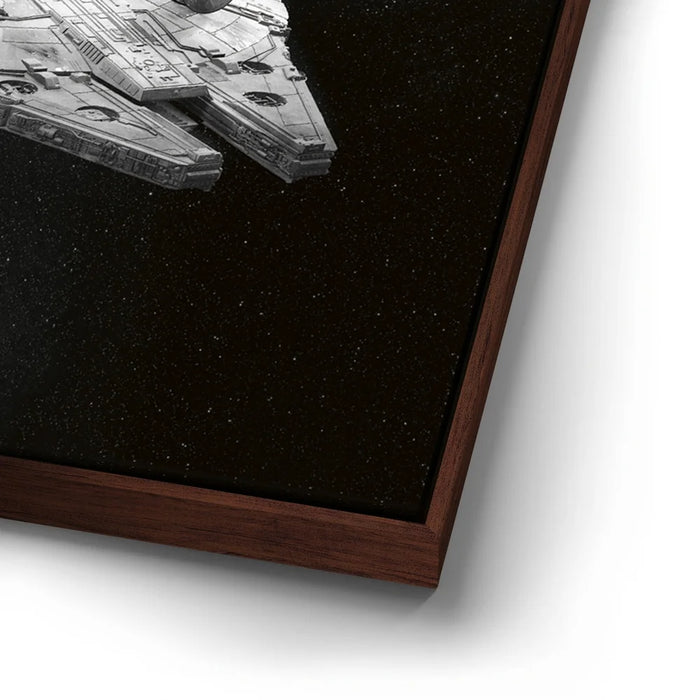 Featured image 14 for Punch It Chewie! - Black & White