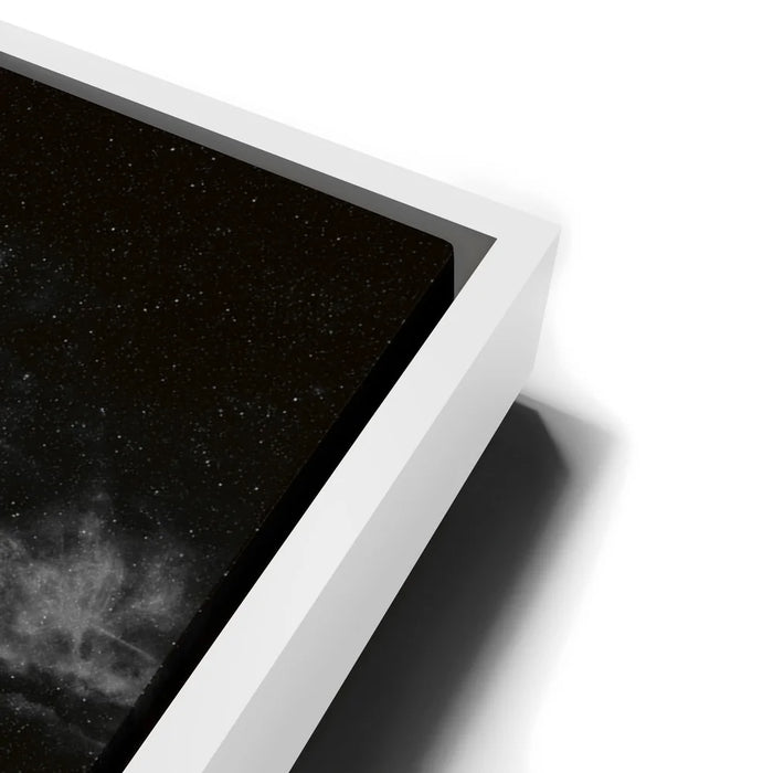 Featured image 13 for Punch It Chewie! - Black & White