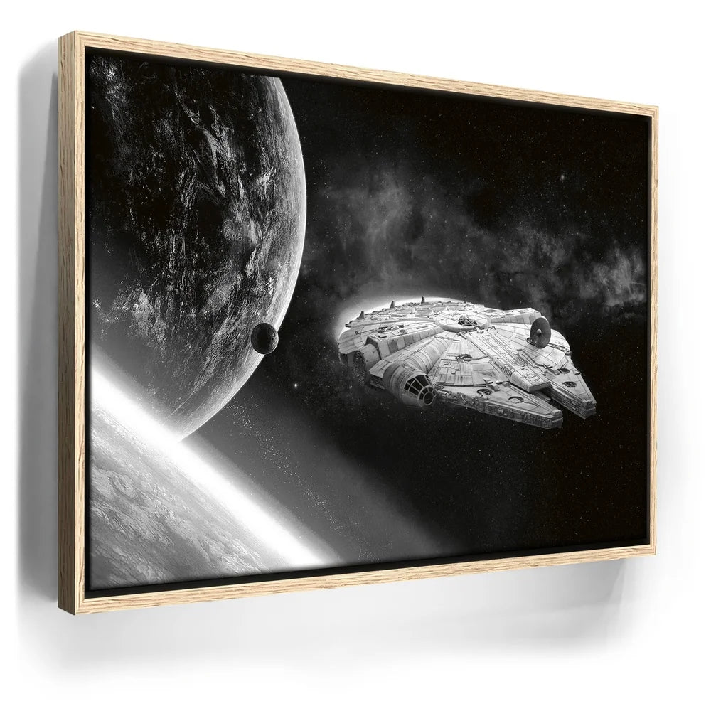 Featured image 9 for Punch It Chewie! - Black & White