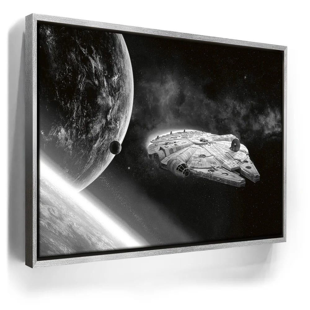 Featured image 8 for Punch It Chewie! - Black & White
