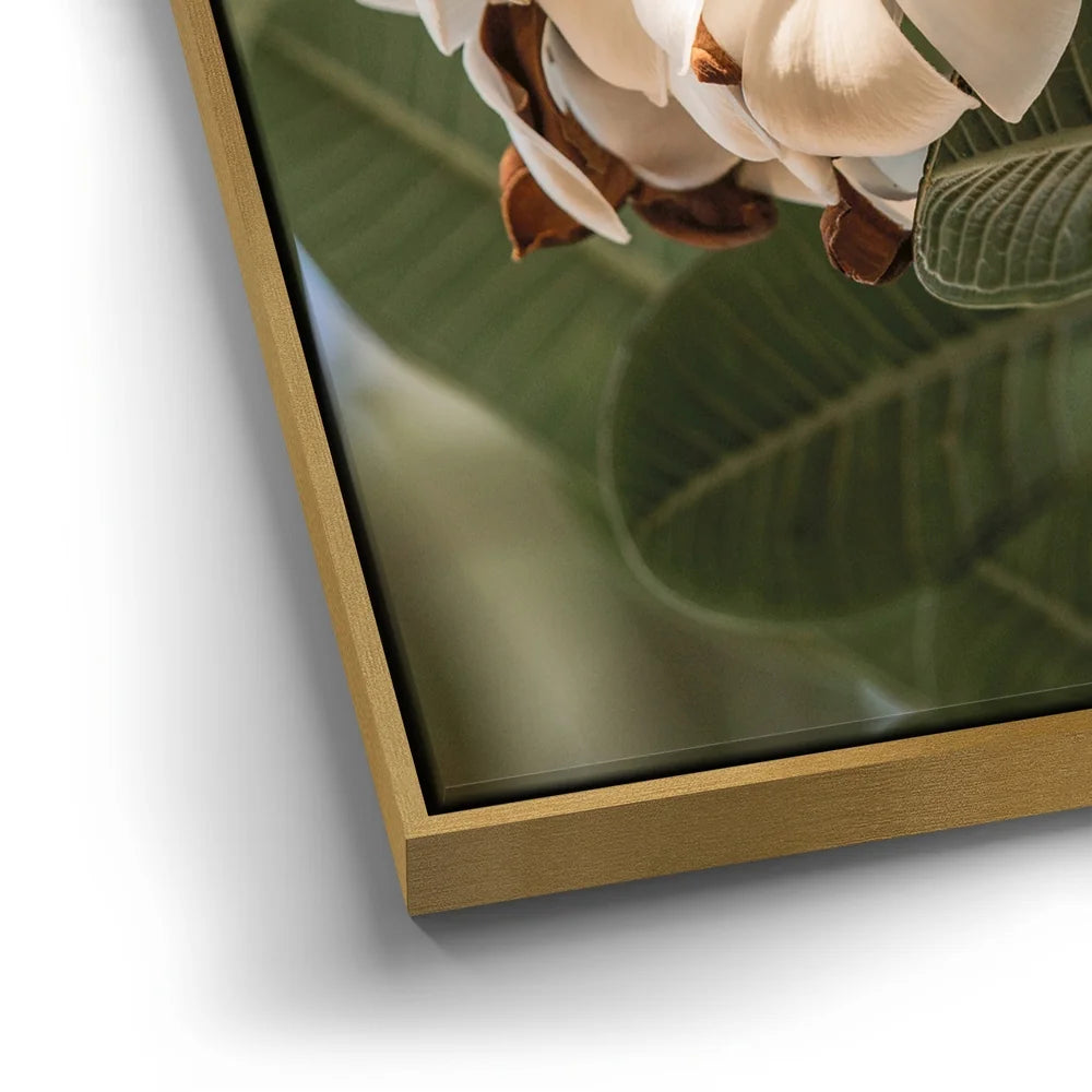 Featured image 12 for Pure Plumeria, Maui