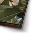 Thumbnail image 14 for Pure Plumeria, Maui