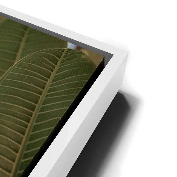 Featured image 13 for Pure Plumeria, Maui