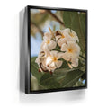 Featured image 5 for Pure Plumeria, Maui