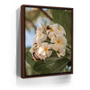 Featured image 10 for Pure Plumeria, Maui