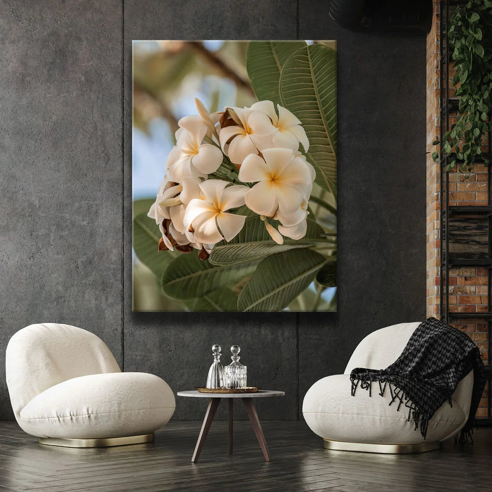 Featured image 2 for Pure Plumeria, Maui