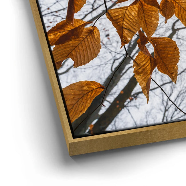 Featured image 12 for Reaching Skyward