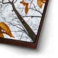Thumbnail image 14 for Reaching Skyward